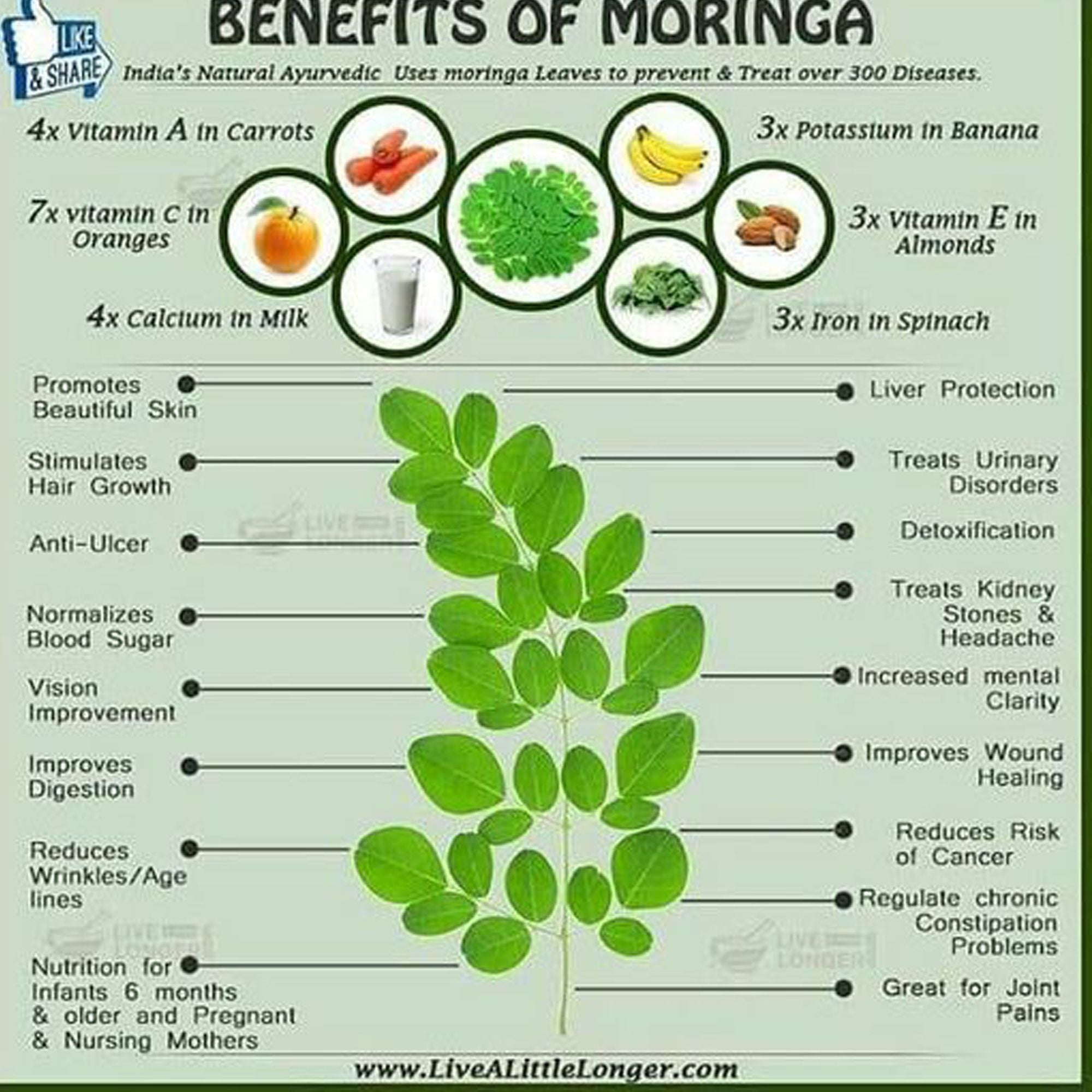 Moringa Capsules