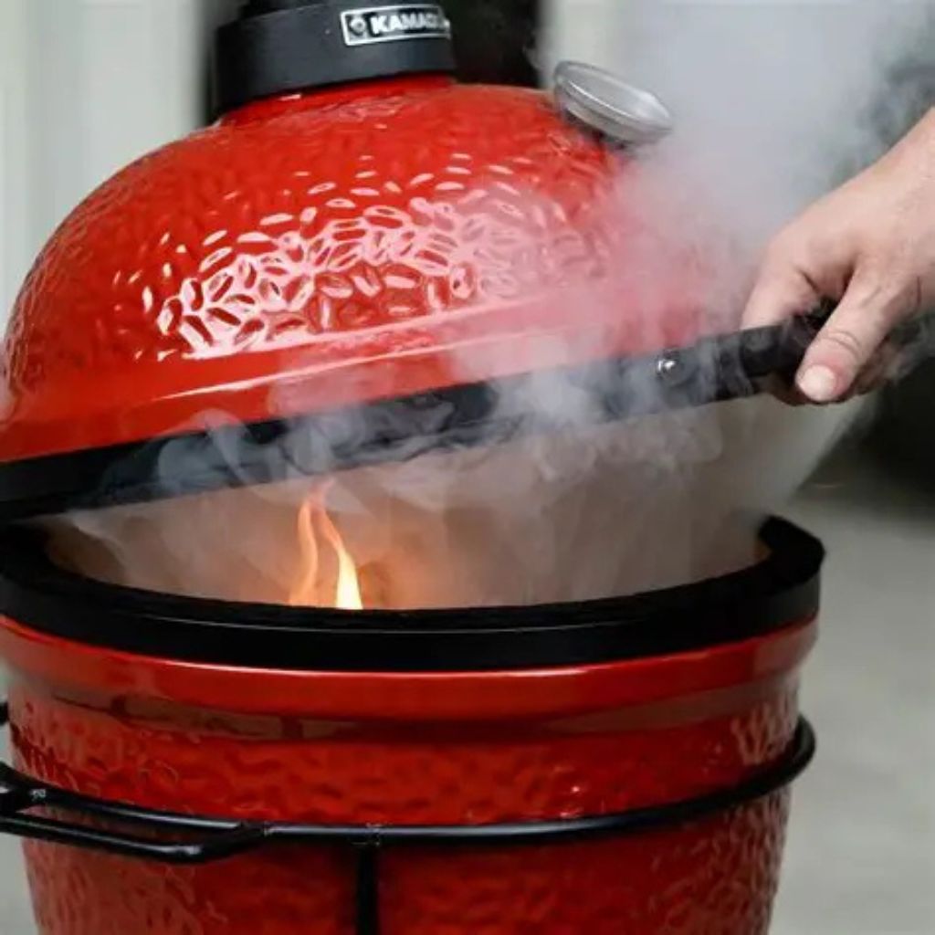Kamado Joe Jr Ceramic Charcoal Grill | Big Braai Flavour